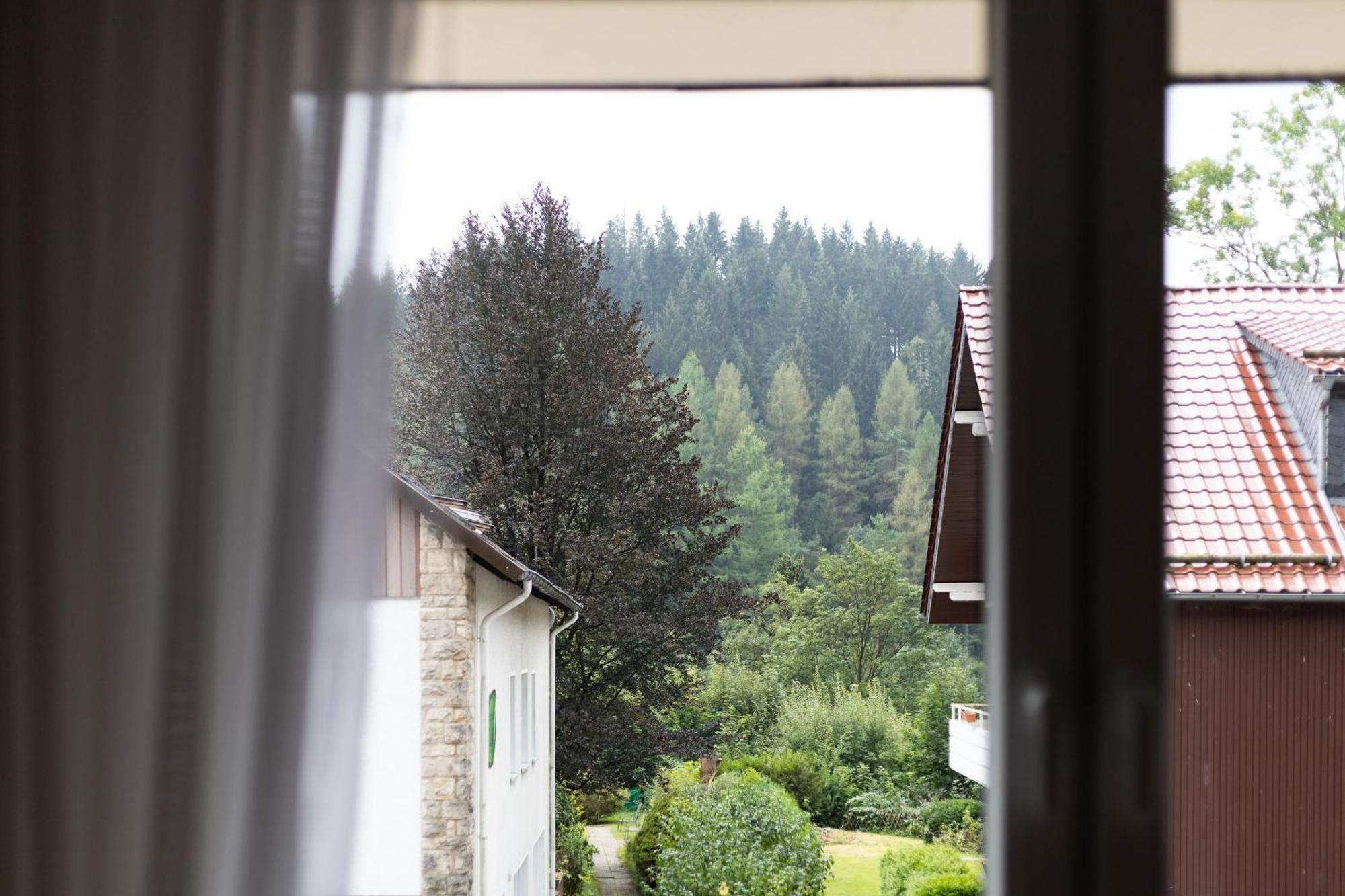 Apartmenthaus Am Waldrand- Kueche - Fruehstueck - Balkon Wildemann Kültér fotó